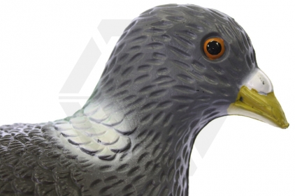 Shooting Target / Decoy Pigeon