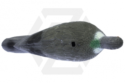 Shooting Target / Decoy Pigeon