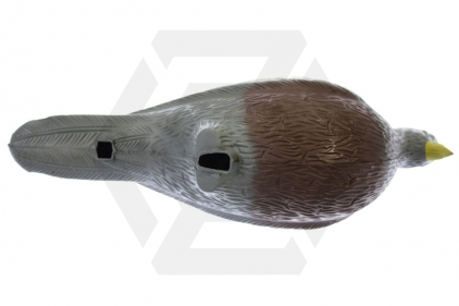 Shooting Target / Decoy Pigeon