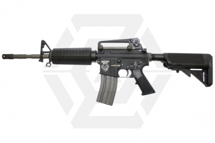 Systema (PTW) Professional Training Weapon M4A1 MAX