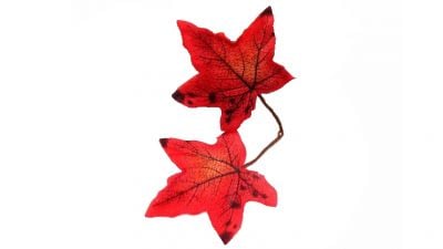 ZO Ghillie Crafting Leaves 20pc Set 24 | £14.99 title=