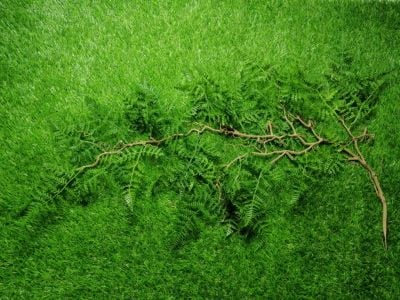 ZO Ghillie Crafting Ferns (Summer Green) | £14.99 title=