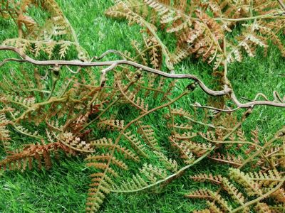 ZO Ghillie Crafting Ferns (Winter Brown) - Detail Image 2 © Copyright Zero One Airsoft