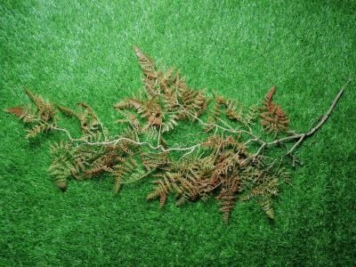 ZO Ghillie Crafting Ferns (Winter Brown)