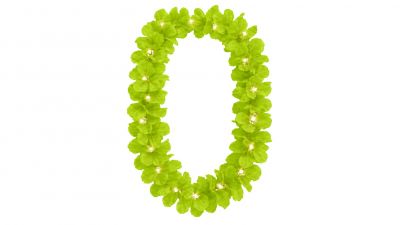 [I] Team Festival Light-Up Lei - DELTA