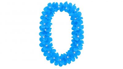 [J] Team Festival Light-Up Lei - THE OTHERS