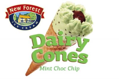 New Forest Dairy Cone Mint Ice Cream - Detail Image 1 © Copyright Zero One Airsoft