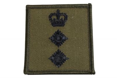Helmet Rank Patch - Colonel (Subdued)