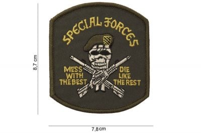 101 Inc Fabric Patch &quotSpecial Forces Skull" - Detail Image 2 © Copyright Zero One Airsoft