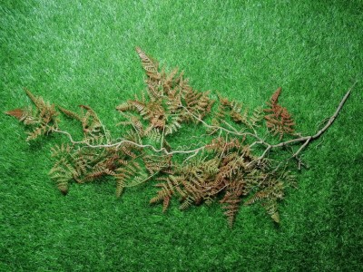 ZO Ghillie Crafting Ferns (Winter Brown) - © Copyright Zero One Airsoft