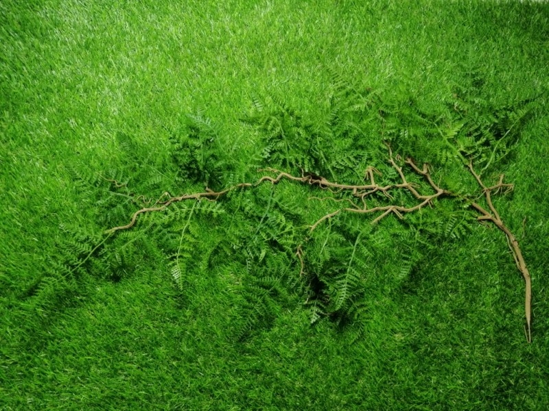 ZO Ghillie Crafting Ferns (Summer Green) - Main Image © Copyright Zero One Airsoft