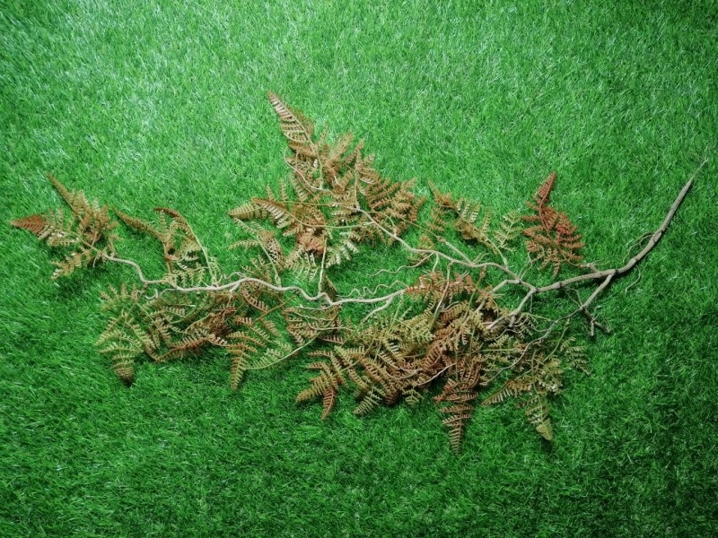 ZO Ghillie Crafting Ferns (Winter Brown) - Main Image © Copyright Zero One Airsoft